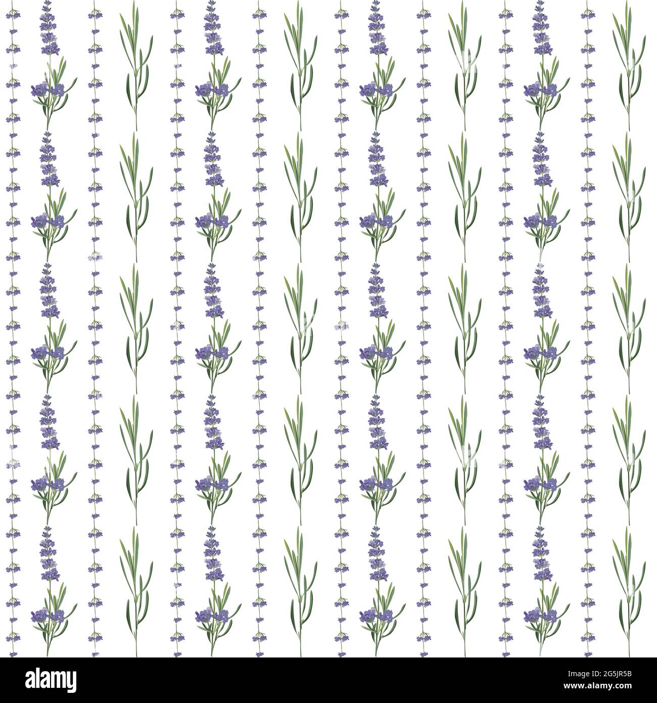 Nahtloses Muster mit violettem Lavendel schöne Blumenvorlage im Vektor-Aquarell-Stil isoliert auf weißem Hintergrund für Hochzeitskarte, Einladung Stock Vektor