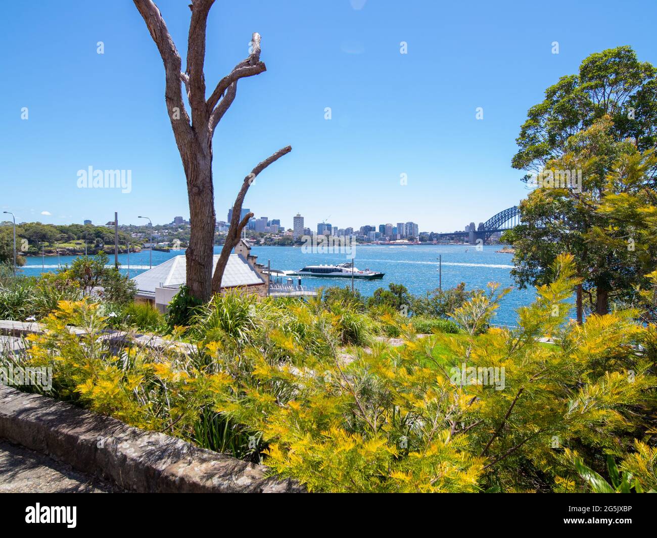 Blick auf den Hafen von Sydney und CDB an einem schönen sonnigen blauen Himmel klares blaues Wasser Boote Yachten und Fähren Wohn- und Geschäftsgebäude Australien Stockfoto