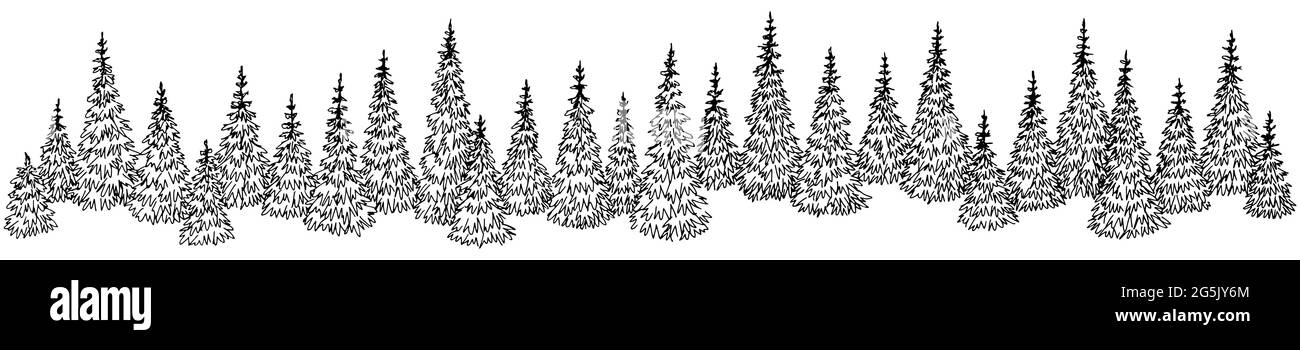 FIR Wald Grafik schwarz weiß Landschaft Skizze Illustration Vektor Stock Vektor