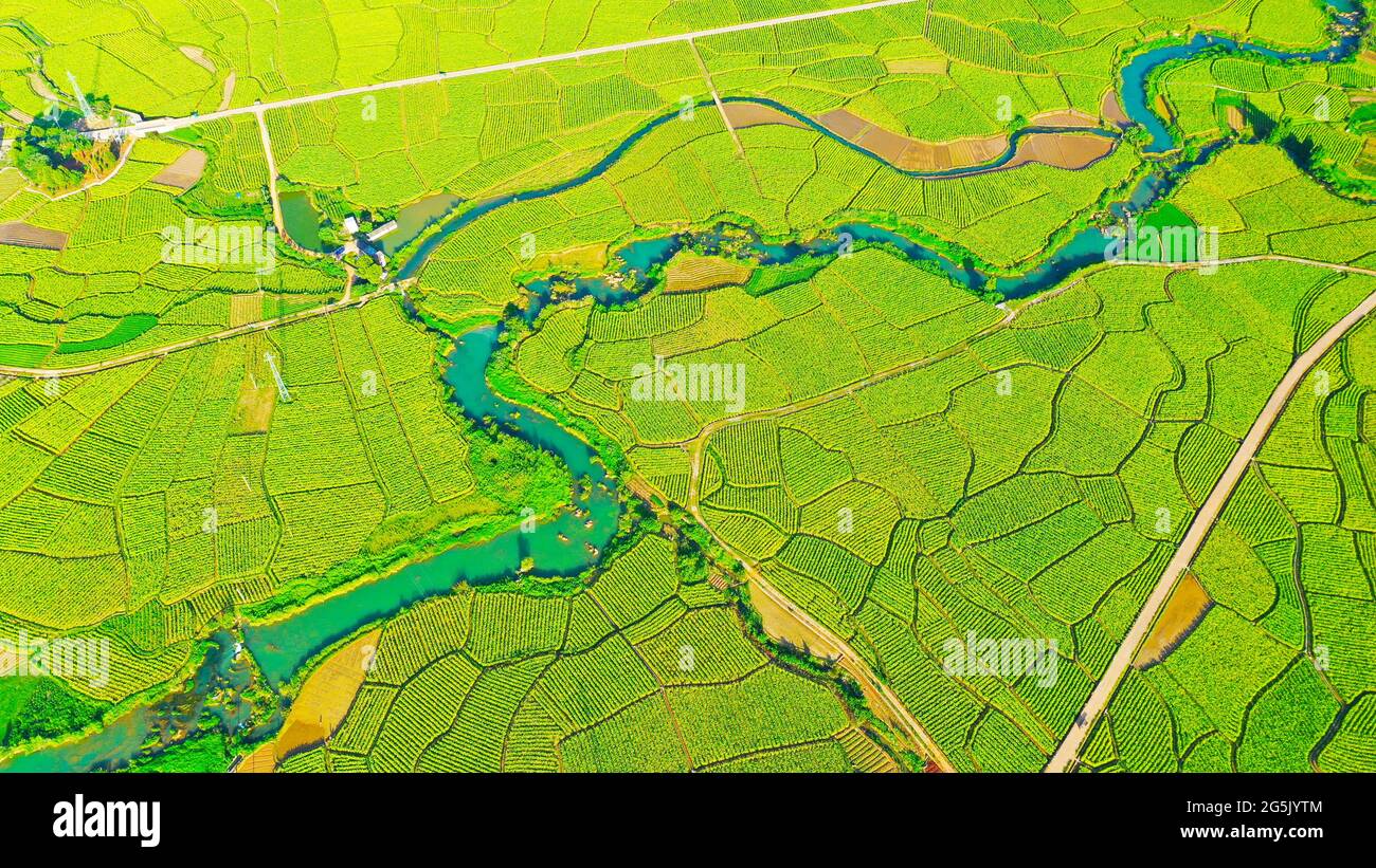 Xintian, China. Juni 2021. Die Schönheit des grünen Feldes im Sommer in Xintian, Hunan, China am 27. Juni 2021.(Foto: TPG/cnsphotos) Quelle: TopPhoto/Alamy Live News Stockfoto