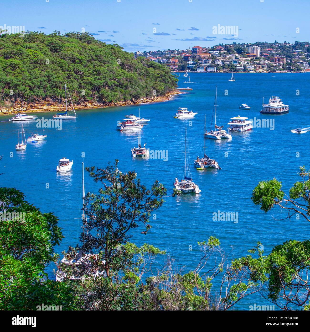 Blick auf den Hafen von Sydney und CDB an einem schönen sonnigen blauen Himmel klares blaues Wasser Boote Yachten und Fähren Wohn- und Geschäftsgebäude Australien Stockfoto