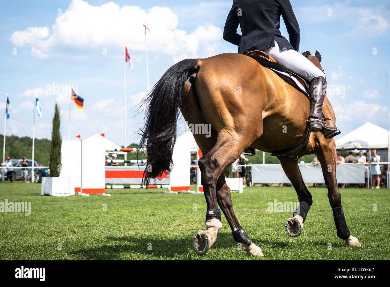 Pferdesport Foto-Themen: Springen, Show Jumping, Reiten. Stockfoto