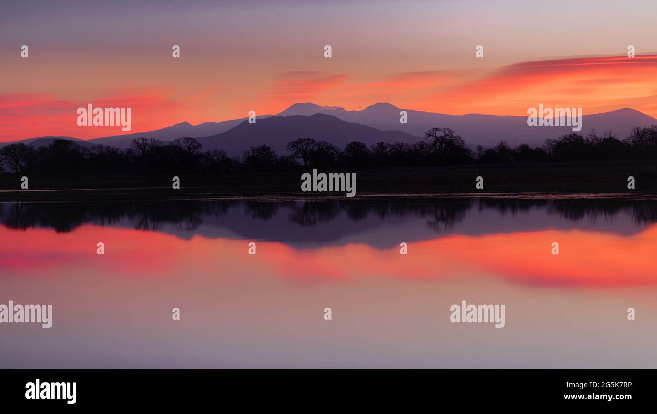 Ich habe dieses Bild auf einem sehr frühen Spaziergang in einem Gebiet aufgenommen, das als Sacramento Riverbend im Tehama County, Kalifornien, USA, bekannt ist. Das ist es Stockfoto