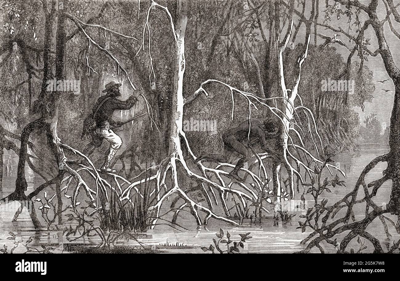 Ein entkommener Sklave wird von einem bewaffneten Aufseher durch einen Mangrovensumpf verfolgt. Aus dem Universum oder, das unendlich große und das unendlich kleine, veröffentlicht 1882. Stockfoto
