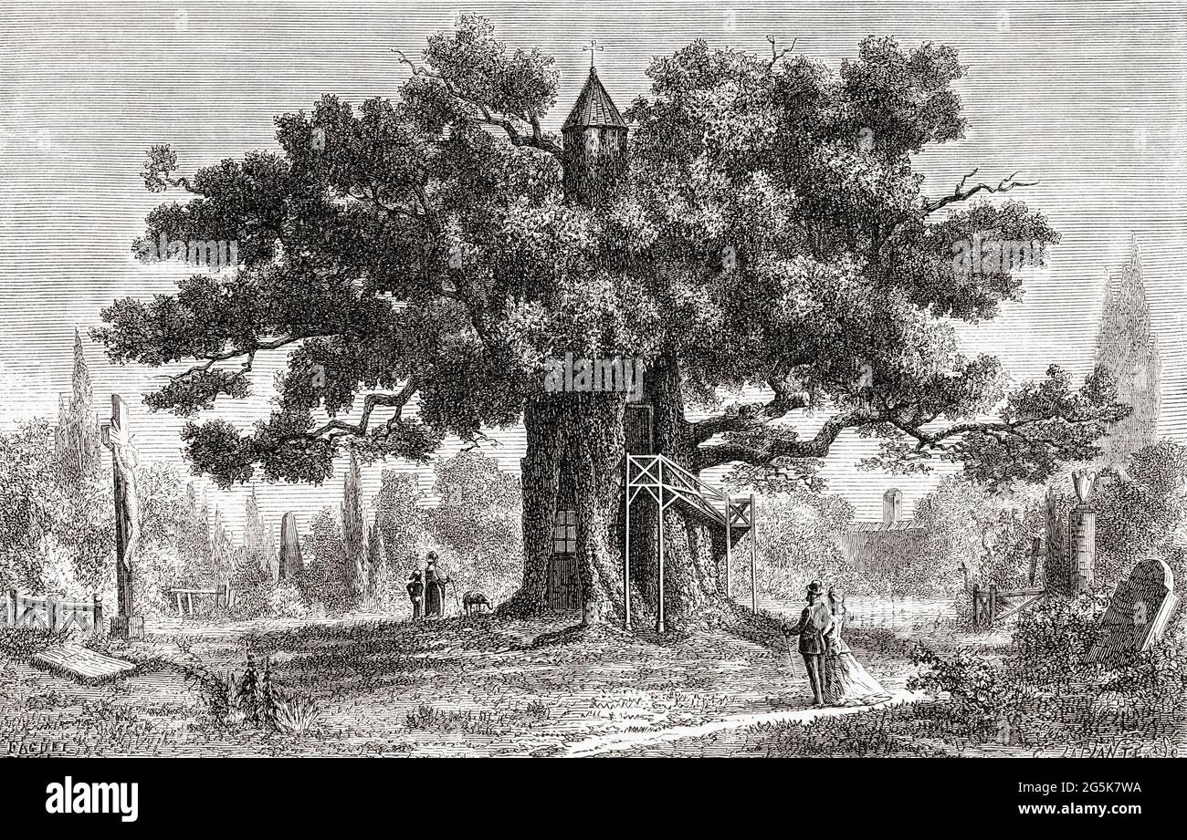 Die Chêne chapelle, oder Kapelle Eiche, eine Eiche in Allouville-Bellefosse in seine-Maritime, Frankreich, hier im 19. Jahrhundert gesehen. Der Baum wurde von einem Blitz getroffen, als er fast 500 Jahre alt war, und das daraus resultierende Feuer brannte langsam durch die Mitte und veröhlte den Baum. Der örtliche Abt und Dorfpriester, erklärte dies zu einem heiligen Ereignis und baute einen Wallfahrtsort, der der Jungfrau Maria in der Mulde gewidmet war. Die Kapelle oben und die Treppe darüber wurden nachträglich hinzugefügt. Aus dem Universum oder, das unendlich große und das unendlich kleine, veröffentlicht 1882. Stockfoto
