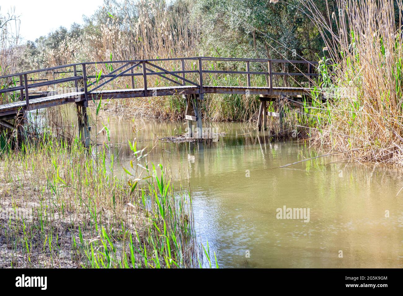 Fußgängerbrücke im Naturschutzgebiet . Parc Natural de s'Albufera de Mallorca . Canal de Siurana . Alte hölzerne Fußgängerbrücke Stockfoto