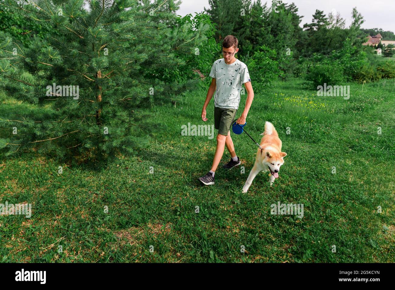 Ein junger Mann spaziert in einem Sommerpark mit einem jungen Welpen eines Hundes Akita. Anders. Das Konzept der Freundschaft zwischen einem Mann und einem Hund. Stockfoto