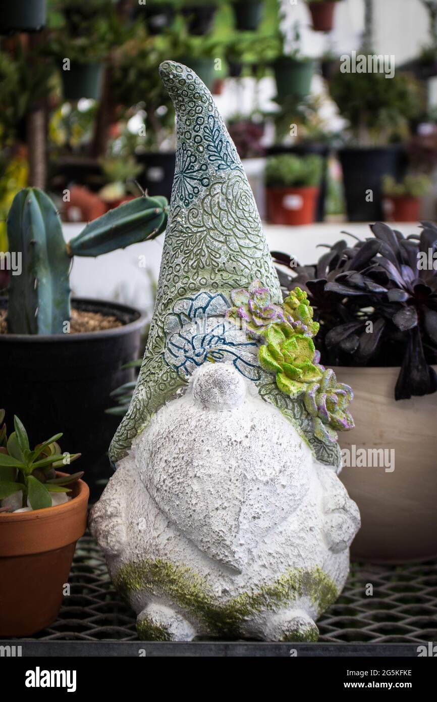 Niedliche Garten Troll mit Sukkulenten im Regal mit Kakteen und anderen Pflanzen bereit, in den Garten zu setzen dekoriert Stockfoto