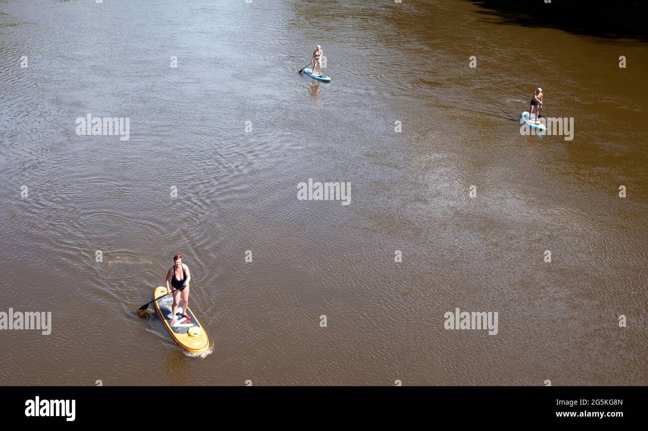 Menschen auf Paddelbrettern auf dem Fluss Gauja, Lettland, Blick von oben Stockfoto