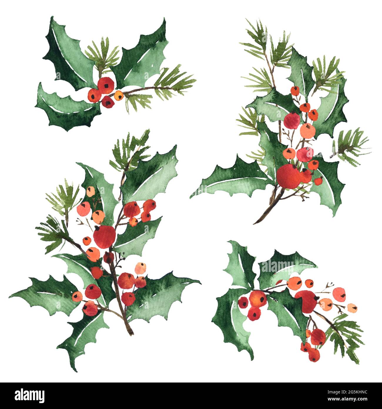 Aquarell-Kollektion von weihnachtlichen Blumenarrangements aus Stechpalme, Beeren und Fichte Stockfoto