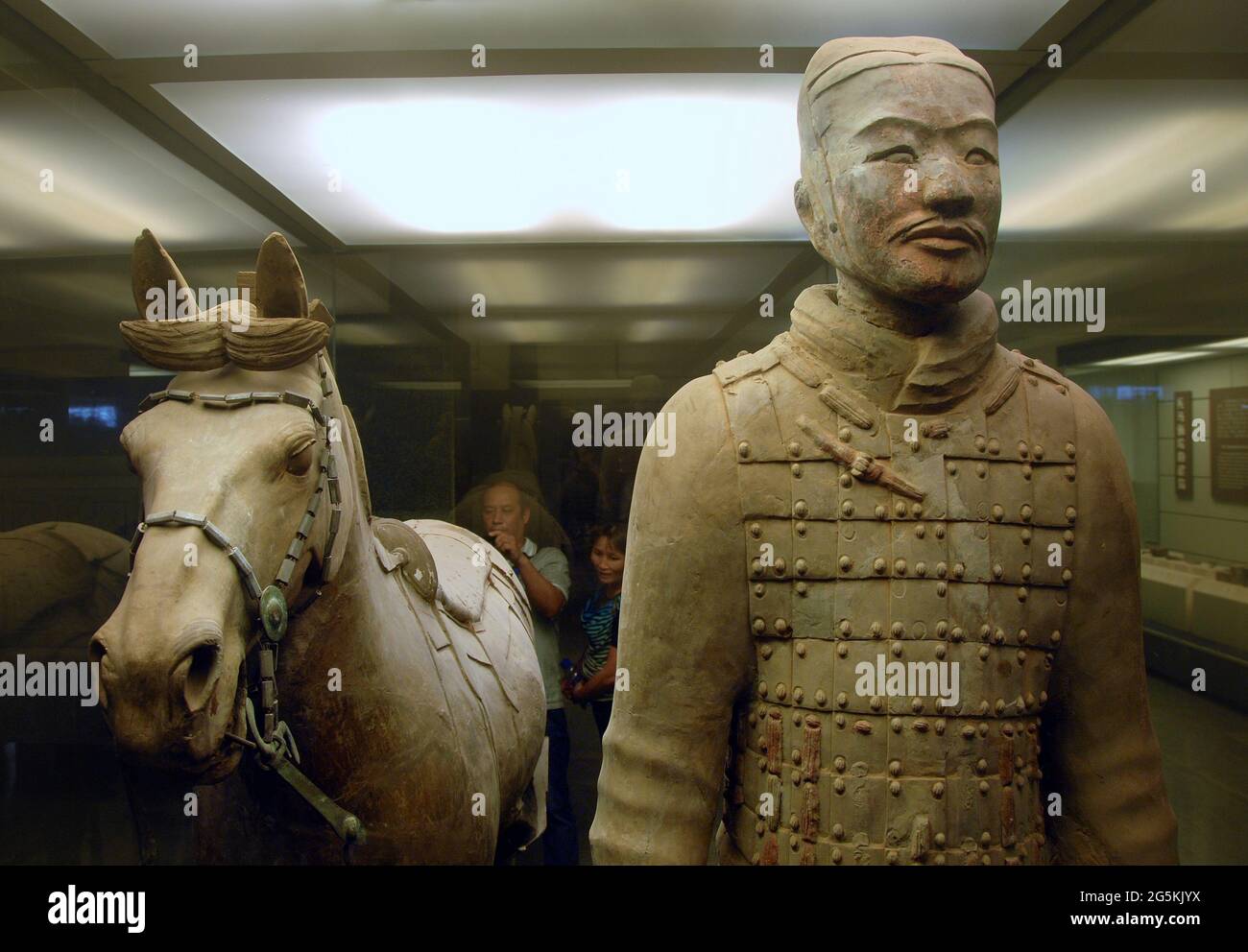 Terrakotta-Krieger, Xian, Provinz Shaanxi, China. Detail eines Kriegers und Pferdes im Museum der Terrakotta-Armee. Stockfoto