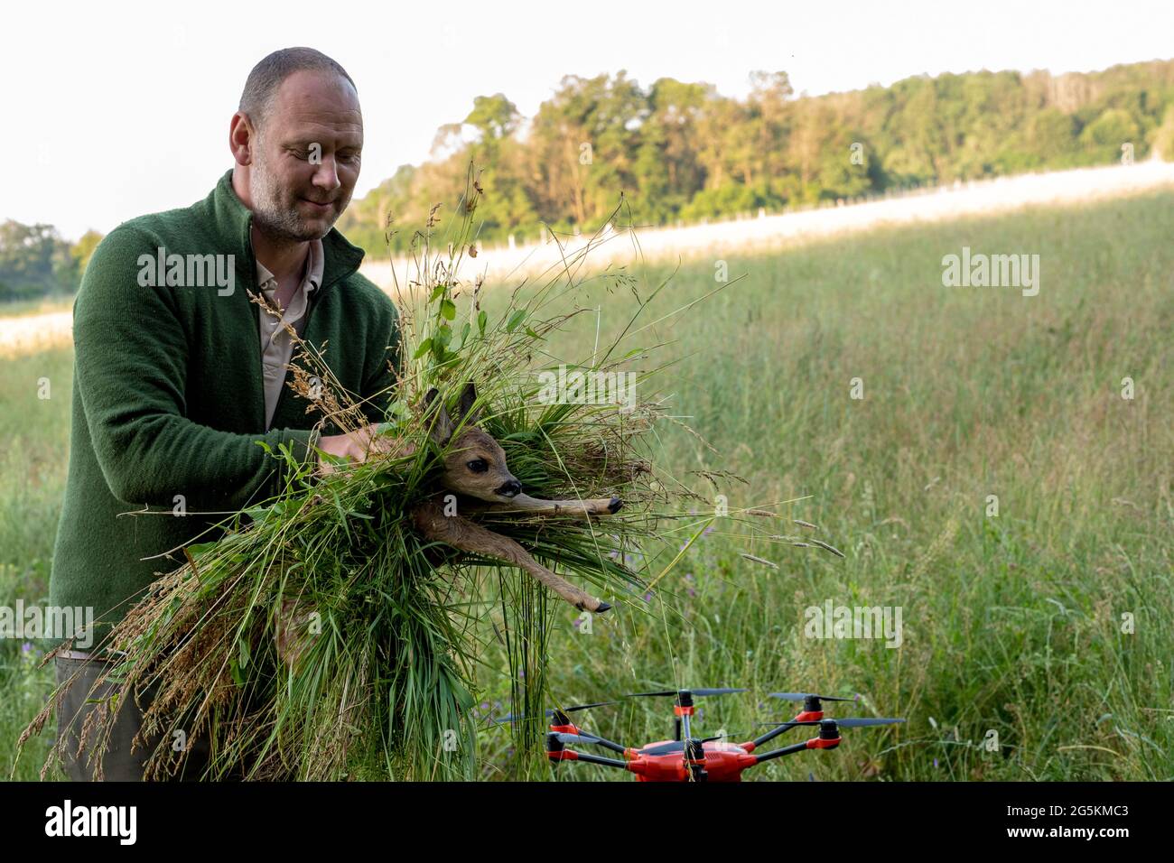 Magdeburg, Deutschland. Juni 2021. Wilko Florstedt vom Wildtierretter Sachsen-Anhalt trägt ein Rehkitz von einem Feld. Sie wurde zuvor mit einer Drohne verfolgt, die mit einer Wärmebildkamera ausgestattet war. Auf diese Weise werden Rehkitze vor dem Tod durch den Mäher großer Landmaschinen bewahrt. Nach eigenen Angaben hat der Verein Wildtierretter Sachsen-Anhalt in diesem Jahr bereits 200 Rehkitze vor einem qualvollen Tod gerettet. Quelle: Stephan Schulz/dpa-Zentralbild/ZB/dpa/Alamy Live News Stockfoto