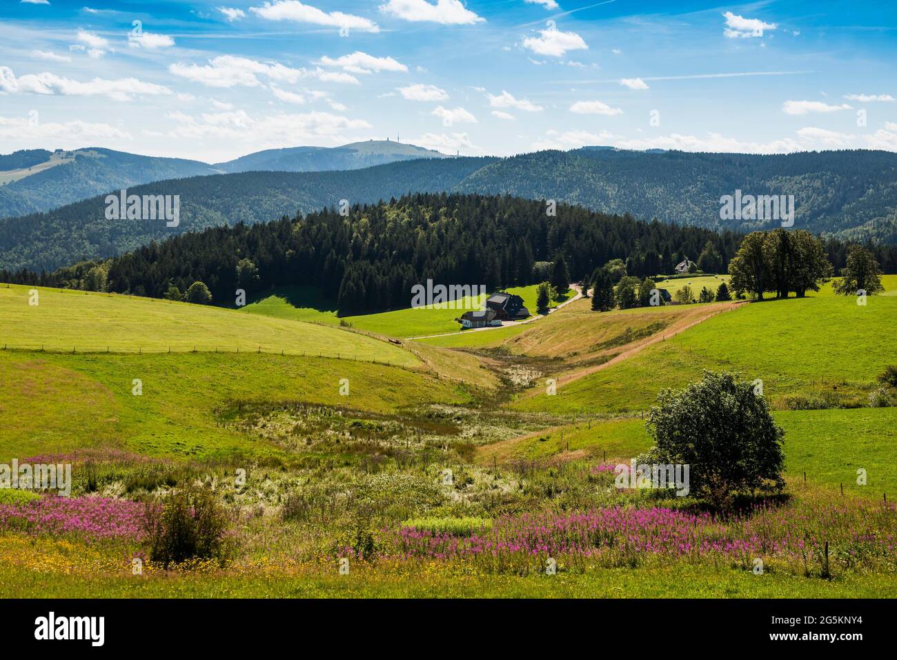 Blick vom Schauinsland auf Feldberg, Schwarzwald, Baden-Württemberg, Deutschland, Europa Stockfoto