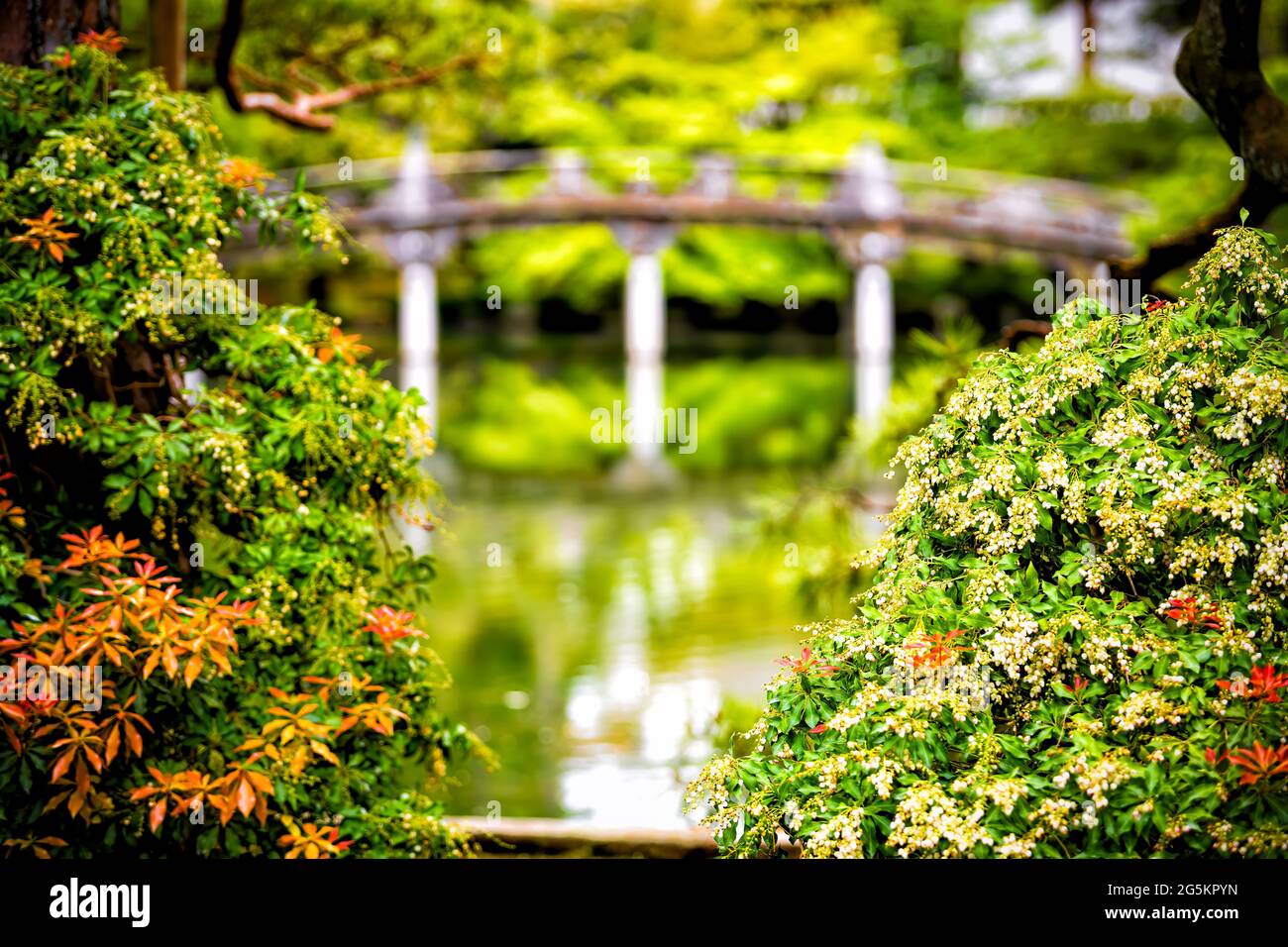 Japanischer garten gonaitei Fotos und Bildmaterial in hoher Auflösung
