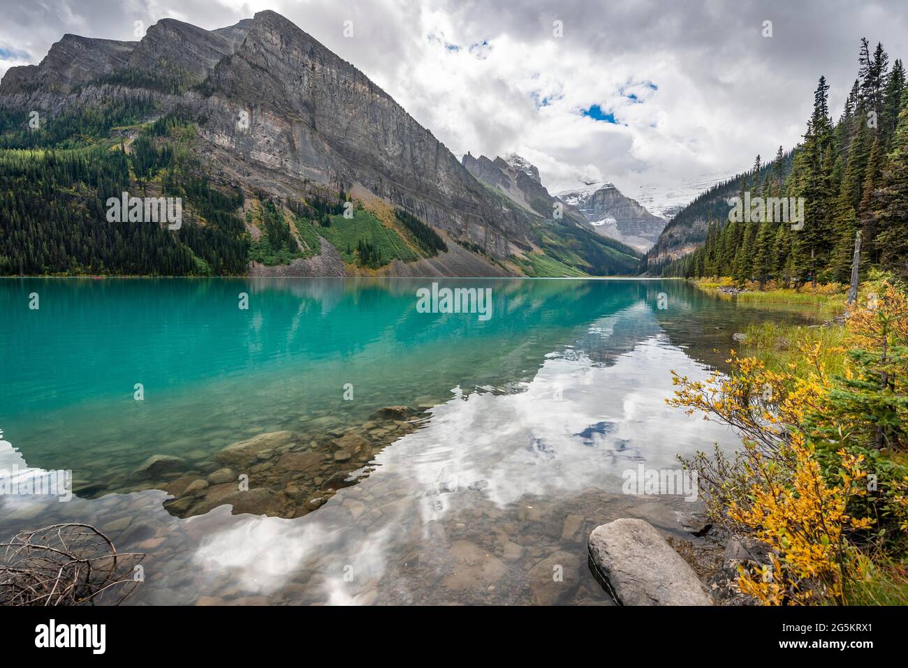 Blick auf den Mount Victoria, Spiegelung im türkisfarbenen Bergsee Lake Louise, Büsche mit gelben Herbstfarben, Ebene der sechs Gletscher, in der Nähe des Lake Lou Stockfoto