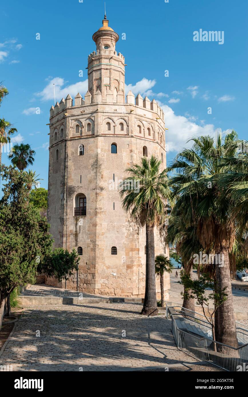 Torre del Oro, Sevilla, Andalusien, Spanien, Europa Stockfoto