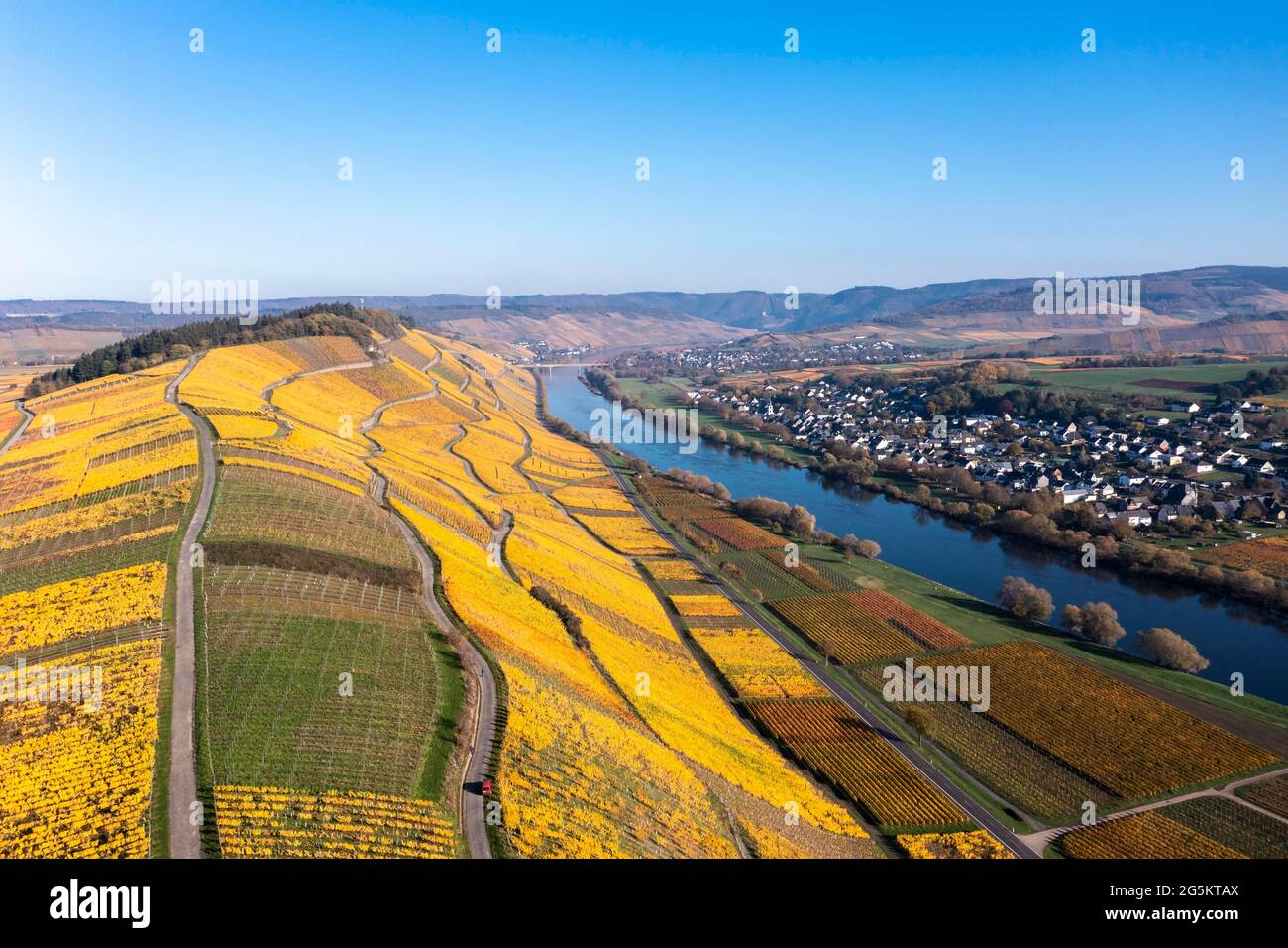 Luftaufnahme, Weinberge im Herbst, Mosel, Kesten, Bernkastel-Wittlich, Rheinland-Pfalz, Deutschland, Europa Stockfoto