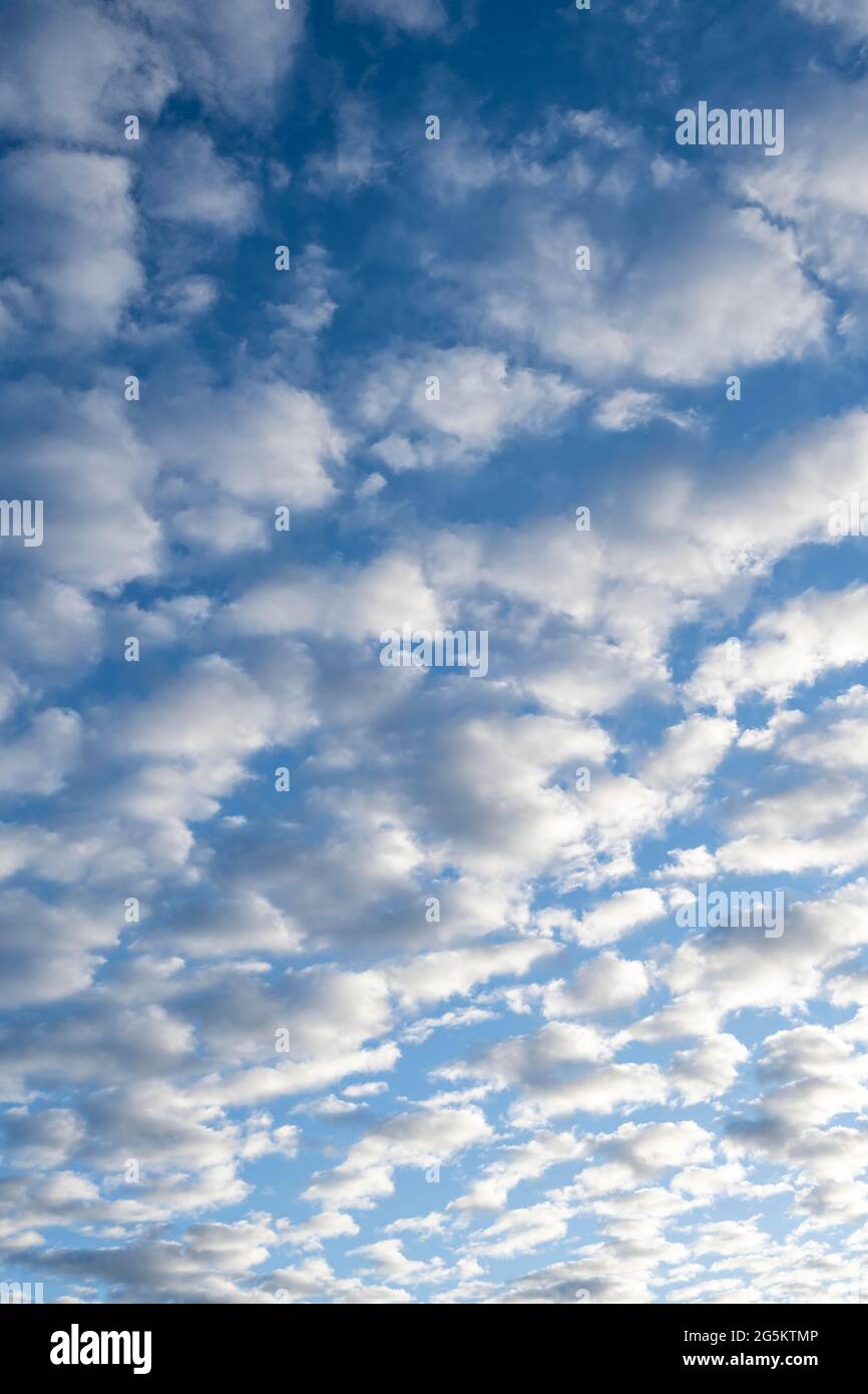 Himmel mit Zirrokumuluswolken, flauschige Wolken, Norwegen, Europa Stockfoto