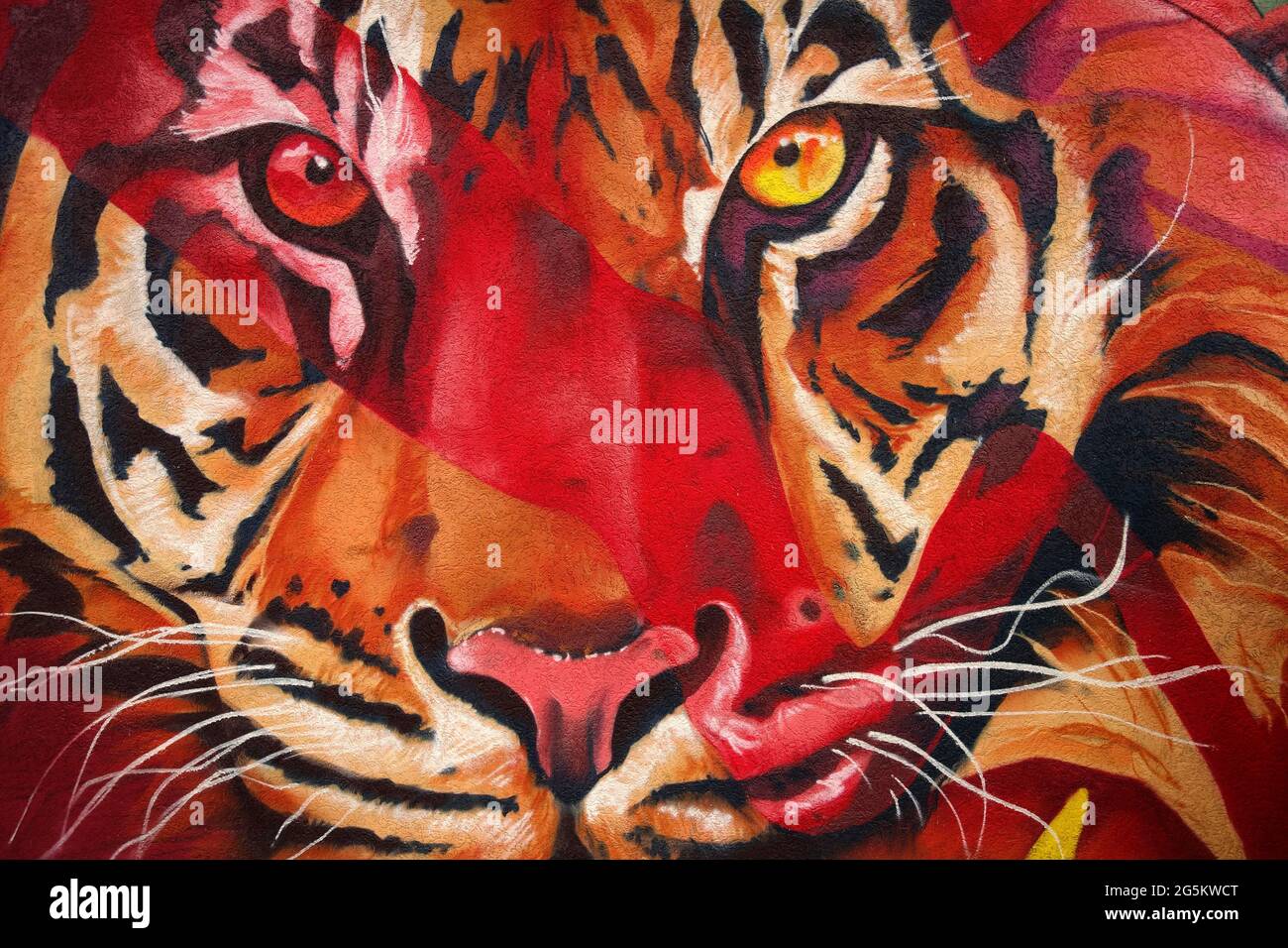 Graffiti, Tiger, Portrait, Rot, Nürnberg, Mittelfranken, Franken, Bayern, Deutschland, Europa Stockfoto