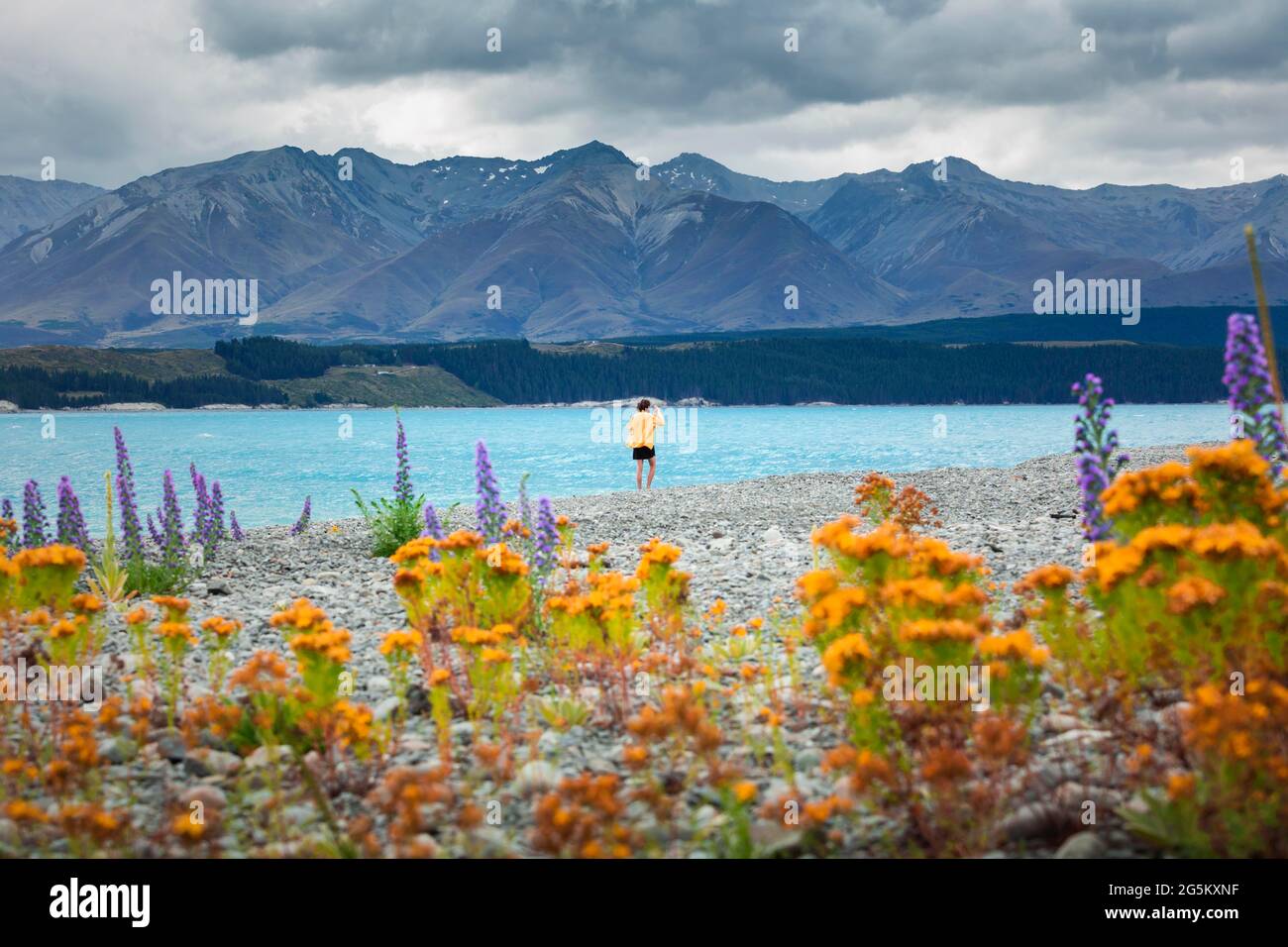 Kerl an einem Strand am Lake Tekapo, Region Canterbury, Mackenzie District, South Island, Neuseeland, Ozeanien Stockfoto