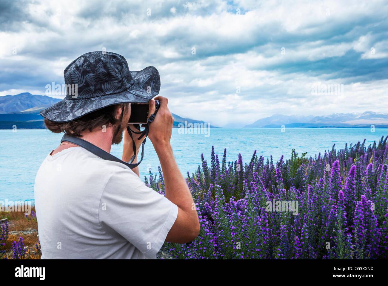 Typ mit Kamera auf einem Feld von Lupinen (Zweideutigkeit), Lake Tekapo, Canterbury Region, Mackenzie District, South Island, Neuseeland, Ozeanien Stockfoto