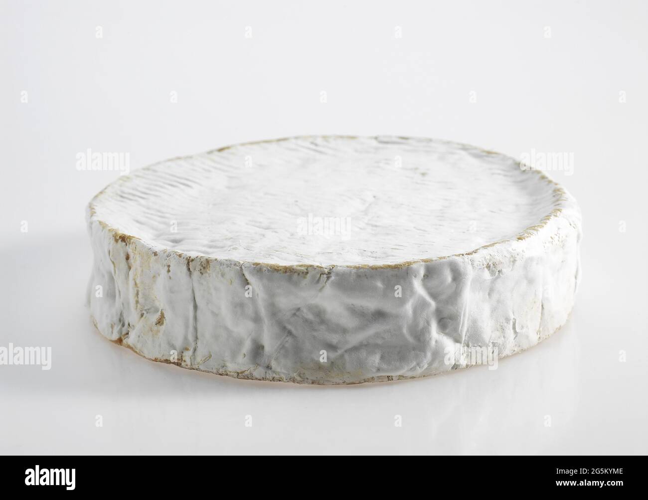 Coulommiers, französischer Käse aus Kuhmilch Stockfoto
