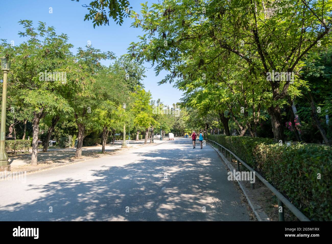 Aktiver Lebensstil, Jogger in der Natur. Junge, flaue Männer laufen im grünen Park, sonniger Frühlingstag, blauer Himmel Stockfoto