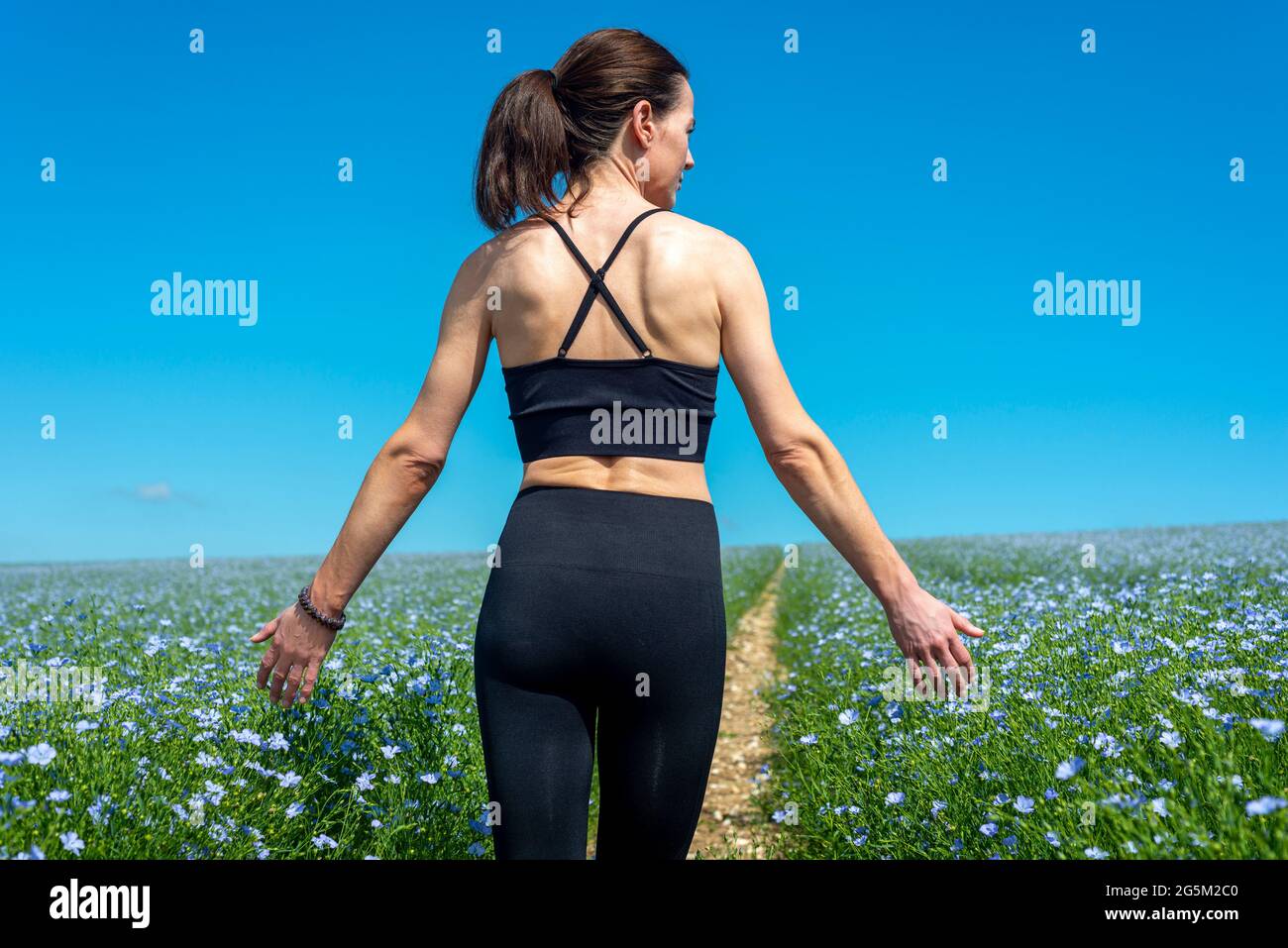 Rückansicht einer sportlichen Frau mit aktivem Ohr, die durch ein Blumenfeld geht und sie berührt. Eins mit der Natur. Stockfoto