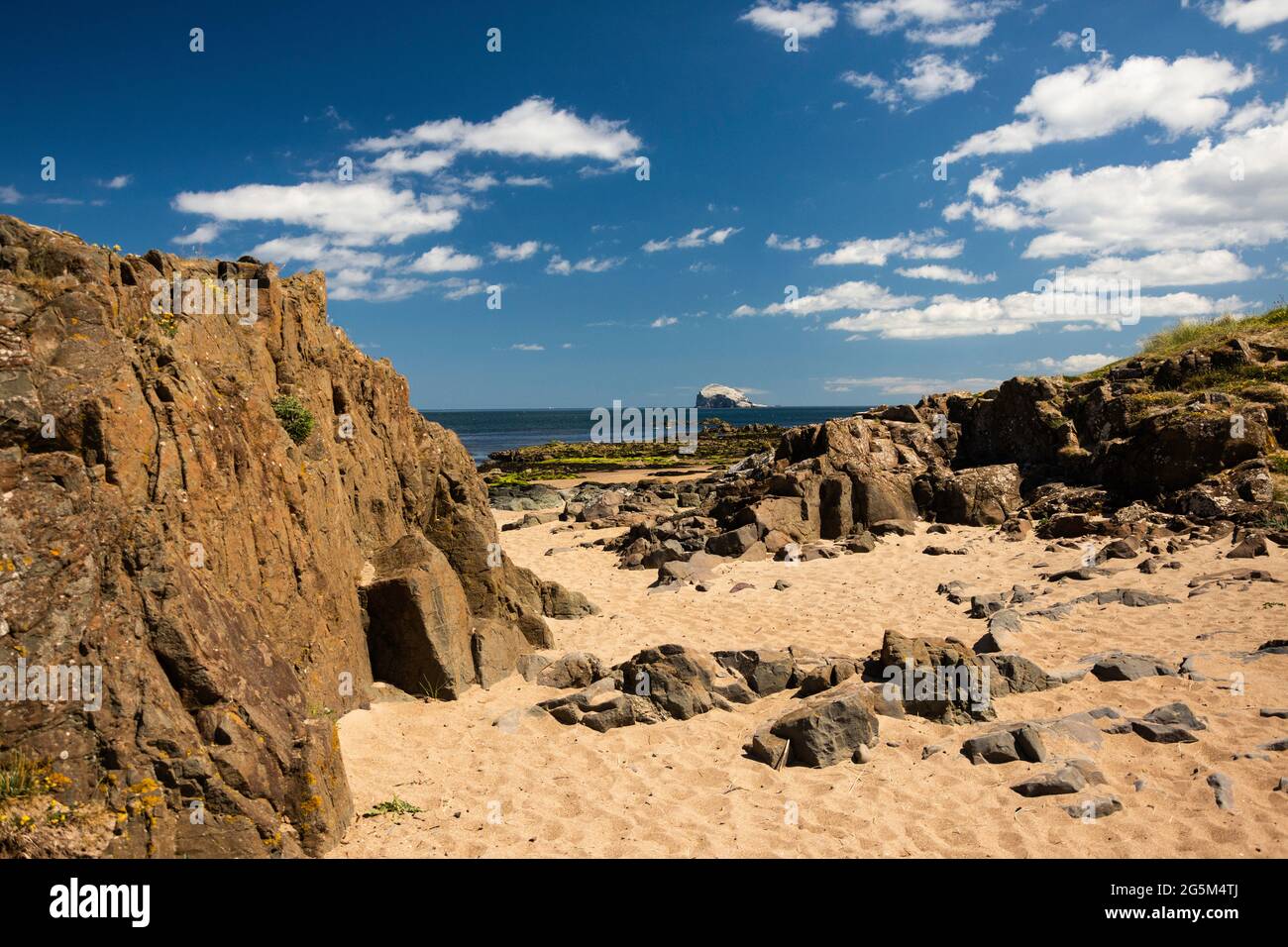 North Berwick Beach in East Lothian, Schottland an einem sonnigen Sommertag mit dem Bass Rock im Hintergrund. Stockfoto