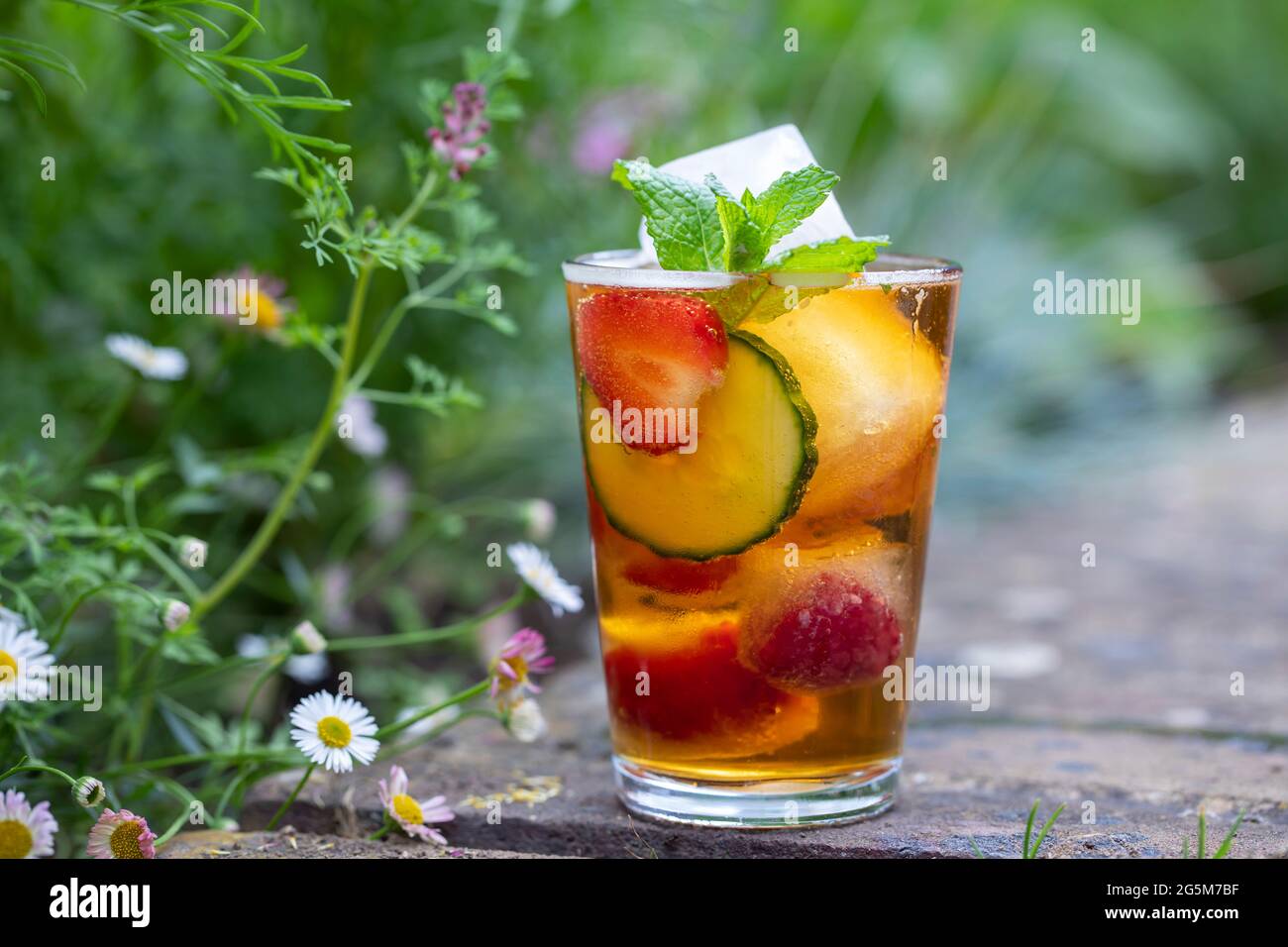 Traditioneller englischer Cocktail aus Zuhälter und Limonade Stockfoto