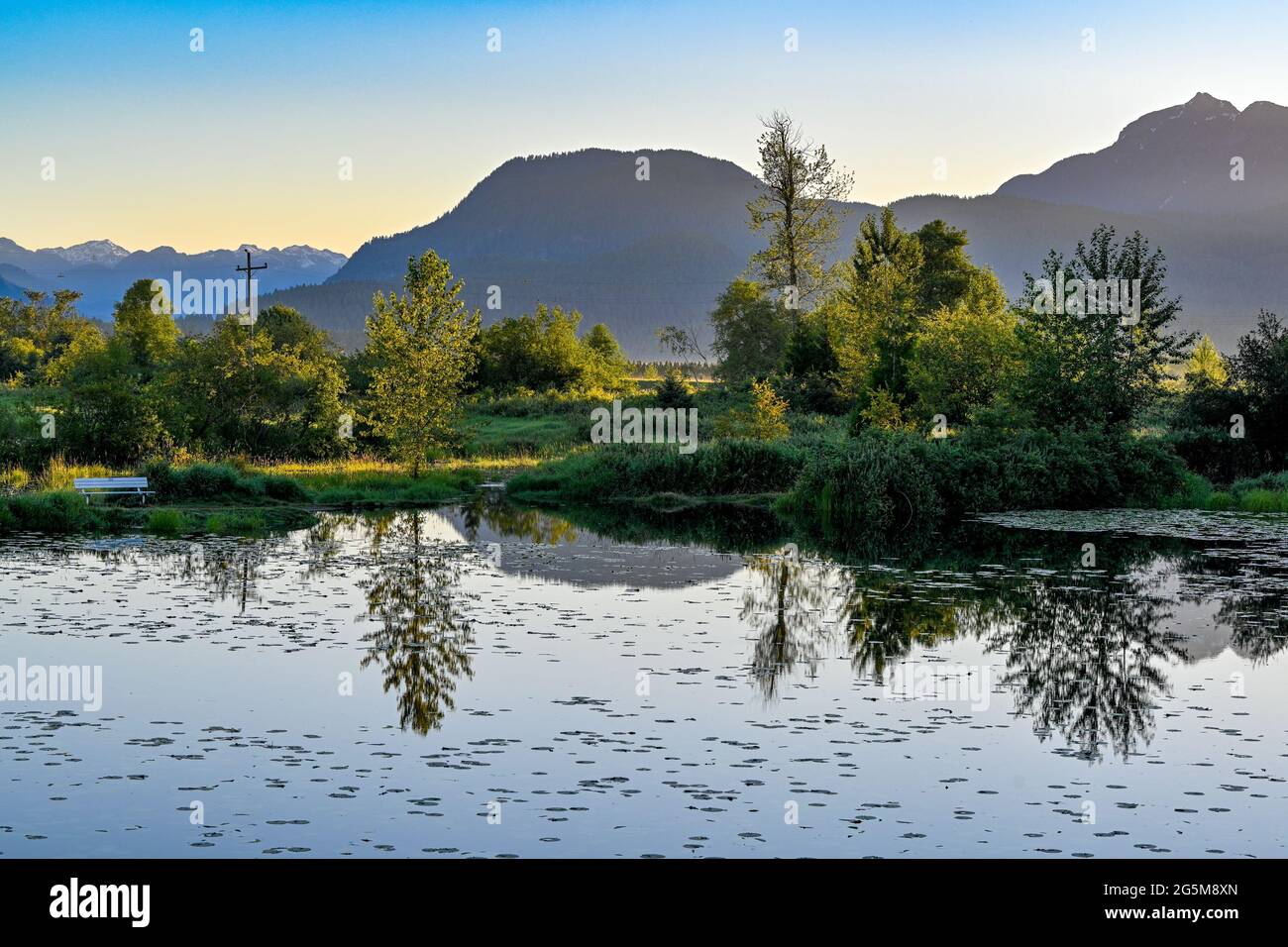 Teich, Jerry Sulina Park, Maple Ridge, , British Columbia, Kanada Stockfoto