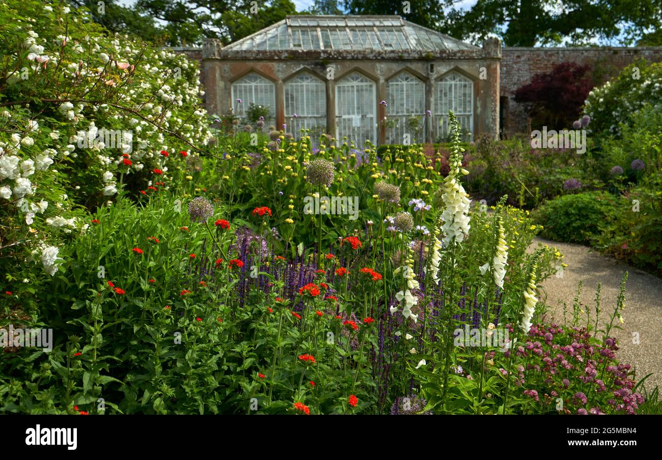Das Glashaus im ummauerten Garten des Abbotsford House in den schottischen Grenzen an einem sonnigen Sommertag. Stockfoto