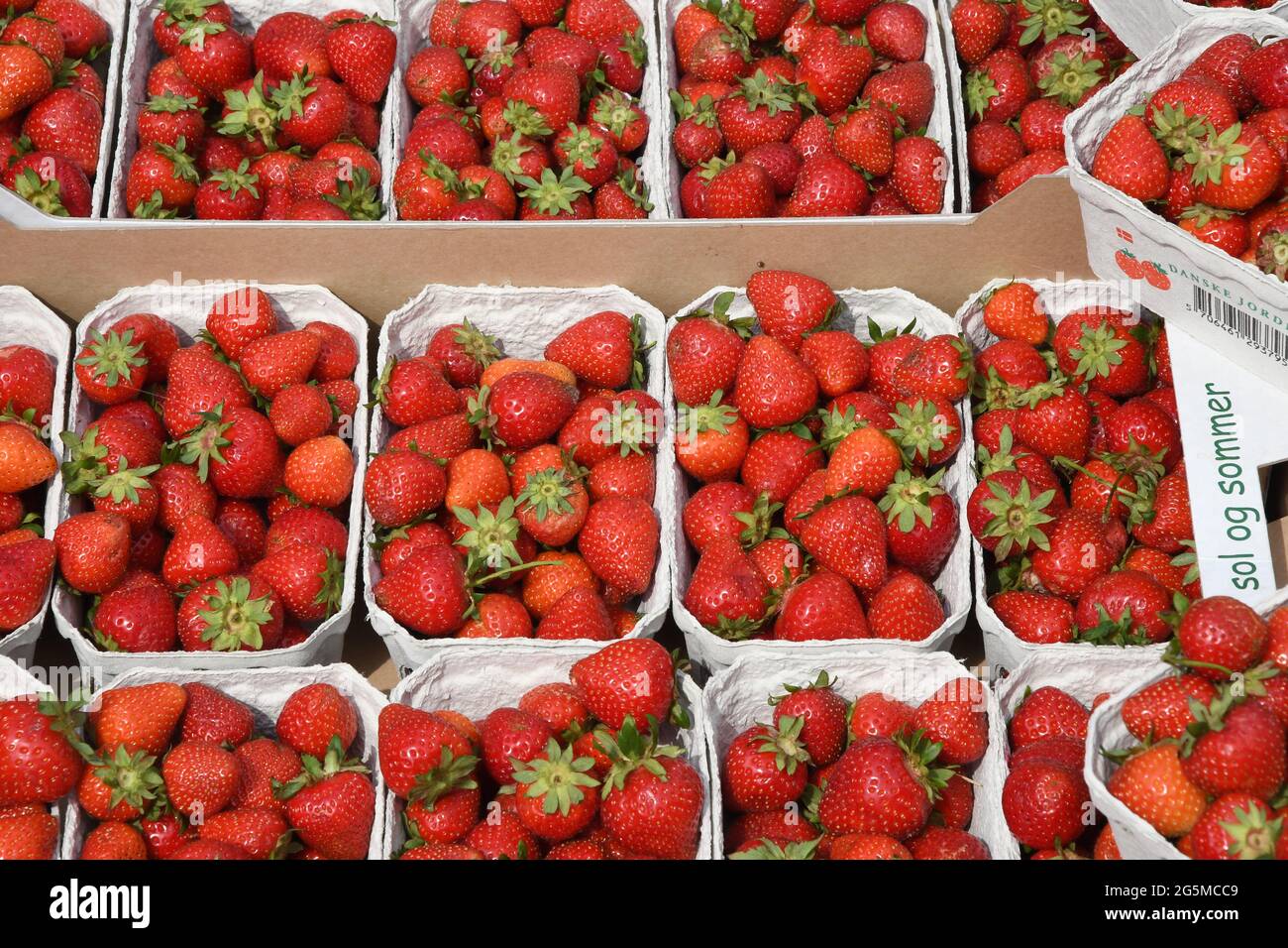 Kopenhagen /Dänemark./ 12.Juni 2019/ .Home grownb Erdbeeren enthalten auf Verkauf in Danosh Hauptstadt Kopenhagen. (Foto..Francis Dean / Deanpices. Stockfoto