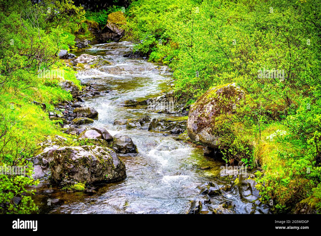 Flusslauf Wasser und Felsen Steine in der Nähe von Hundafoss Wasserfall Nahaufnahme Blick in Skaftafell, Island mit üppig grünen Sommerfrühlingslandschaft Stockfoto