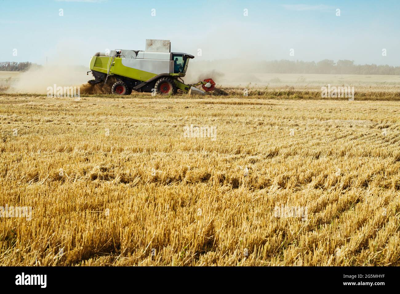 Mähdrescher erntet reifen Weizen. Reife Ohren von Gold Feld auf dem Sonnenuntergang bewölkt orange Himmel Hintergrund. Konzept einer reichen Ernte. Landwirtschaft Stockfoto