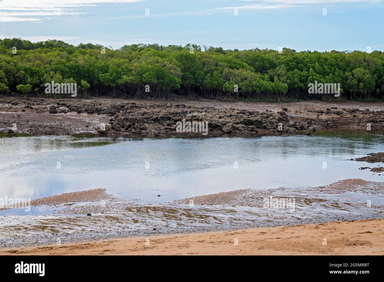 Creek bei Ebbe mit Schlamm und Sandbänken sichtbar und eine Buschland-Küste Stockfoto