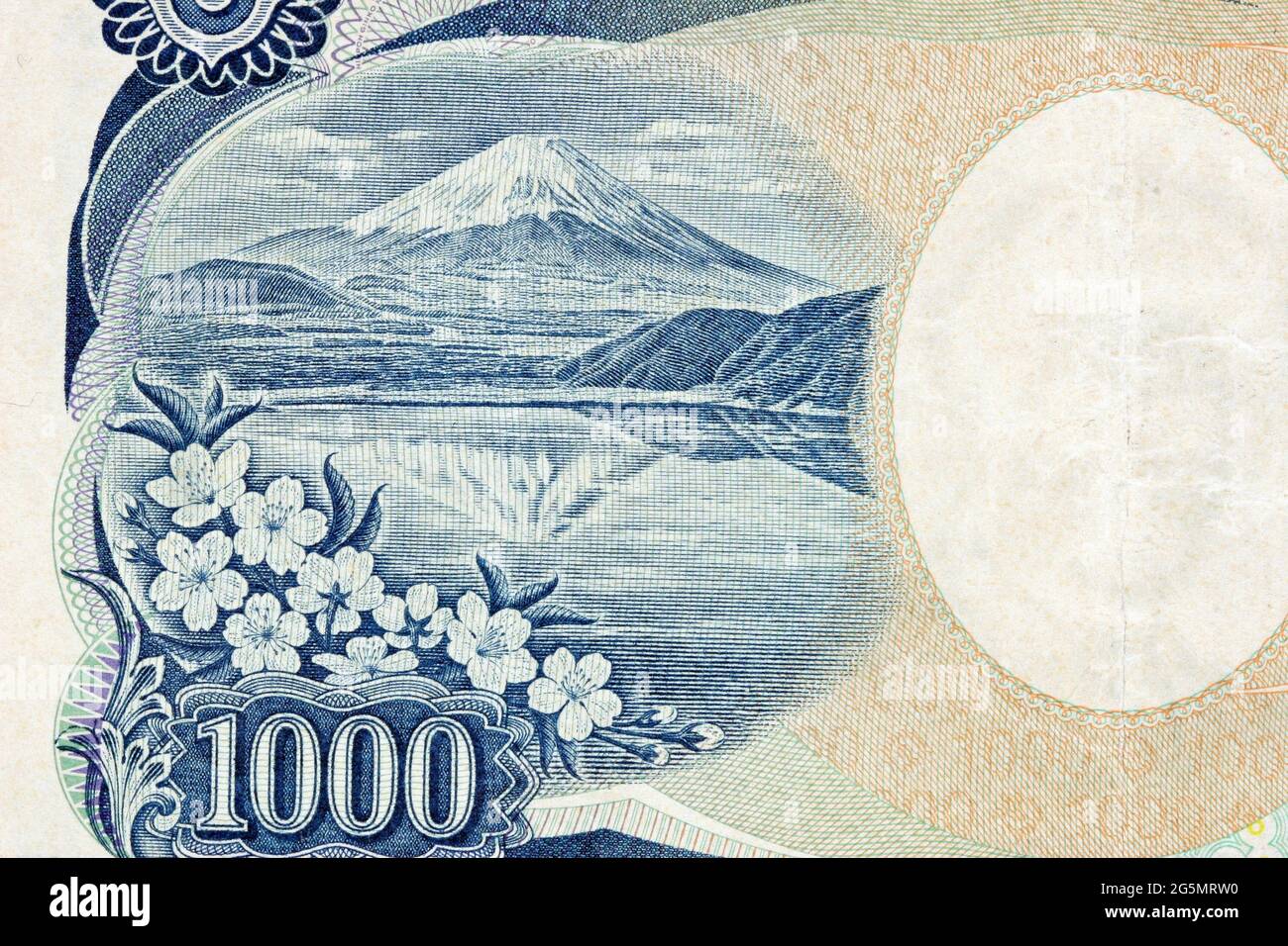 Nahaufnahme des Mt. Fuji und Cherry Blossoms auf der Rückseite der japanischen Banknote der Serie E (Yen 1000) der Tausend Yen Stockfoto