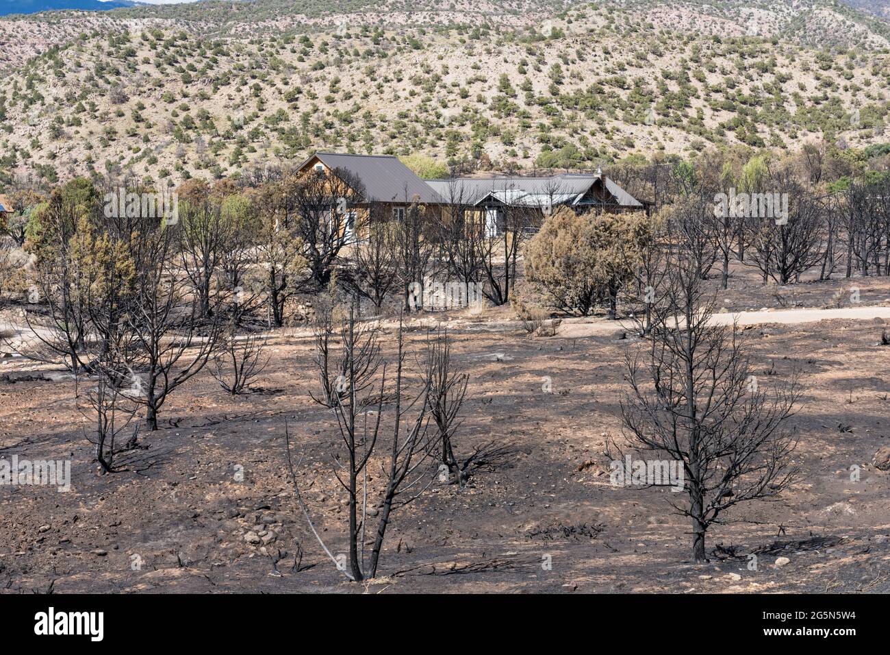 Verbrannte Bäume und ein Haus wurden teilweise durch das Pack Creek Fire beschädigt, das 9,000 Acres in der Nähe von Moab, Utah, verbrannte. Stockfoto