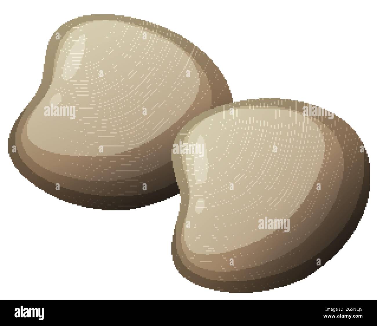 Harte Muschel oder Auster im Cartoon-Stil auf weißem Hintergrund Illustration Stock Vektor