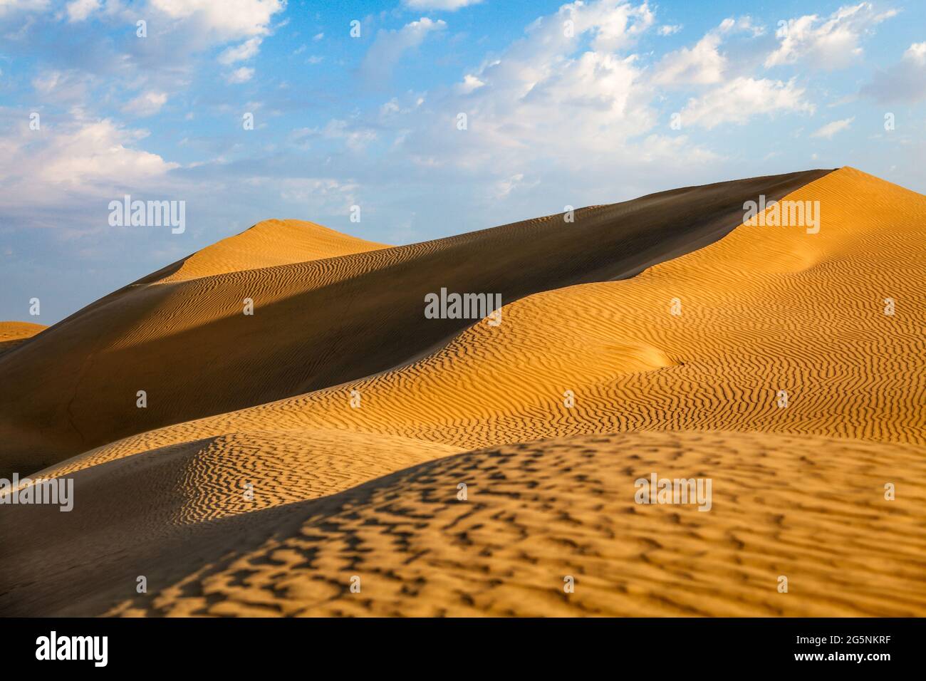 Sanddünen in der Wüste Stockfoto