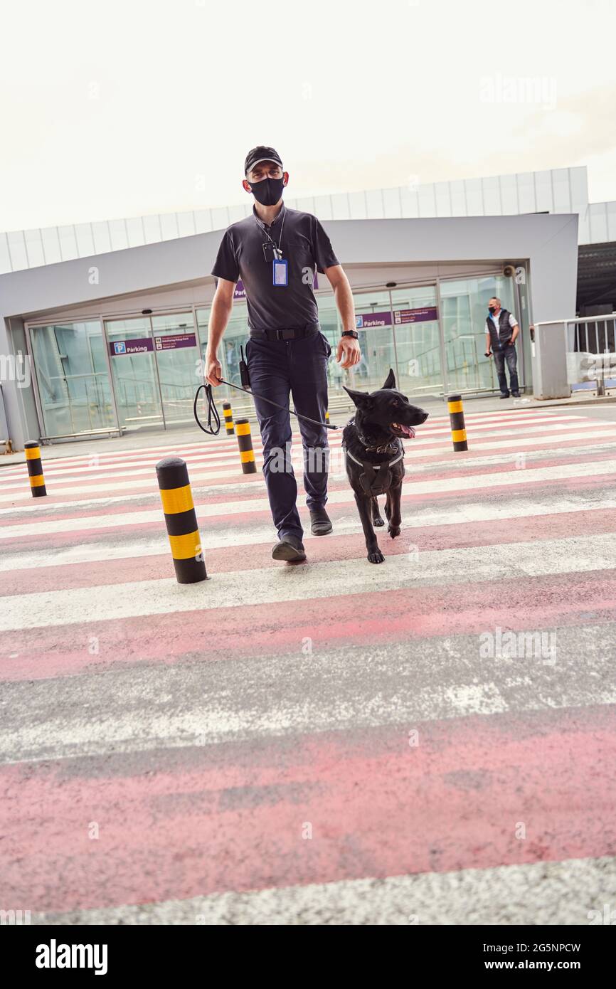 Sicherheitsbeamter mit Polizeihund, der die Straße am Flughafen überquert Stockfoto