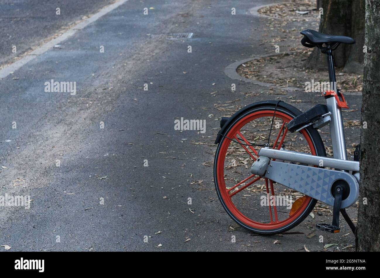 Nahaufnahme des einsamen orangefarbenen Mailänder Fahrradverleihplatzes in der Nähe eines Baumes. Speicherplatz kopieren Stockfoto