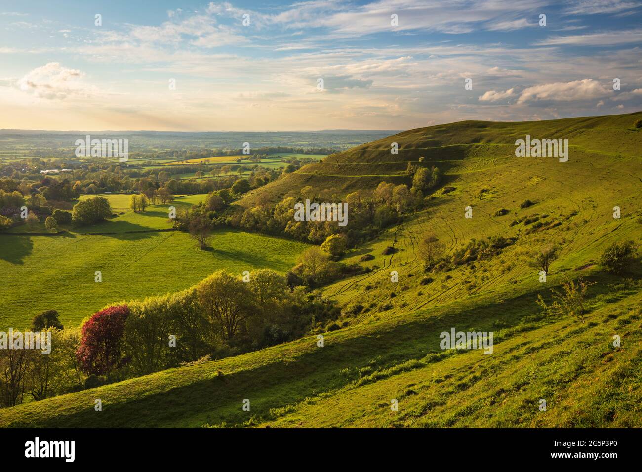 Eisernes Hügelfort von Hambledon Hill in Cranborne Chase AONB bei Sonnenuntergang, Iwerne Courtney (Shroton), Blandford Forum, Dorset, England, Vereinigtes Königreich Stockfoto