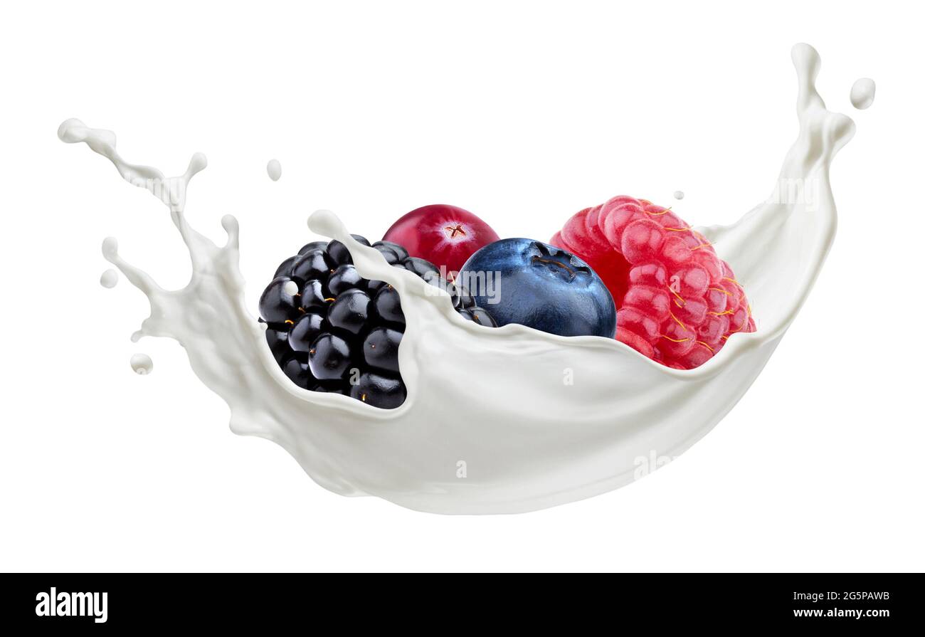 Waldbeeren mit Milchspritzern isoliert auf weißem Hintergrund Stockfoto