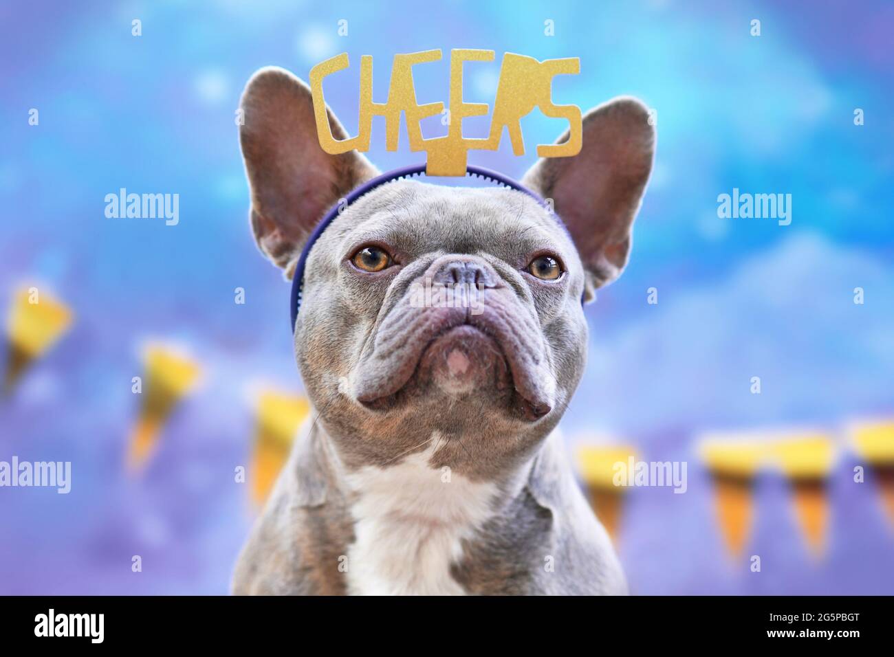 Party Französischer Bulldog Hund mit Stirnband mit der Aufschrift "Cheers" vor goldener Girlande auf blauem Hintergrund Stockfoto