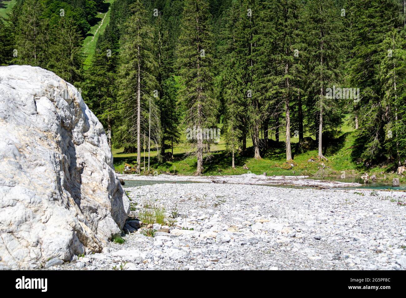 Massiver Felsen neben einem alpinen Fluss in einem Kiesbett mit Bäumen im Hintergrund Stockfoto