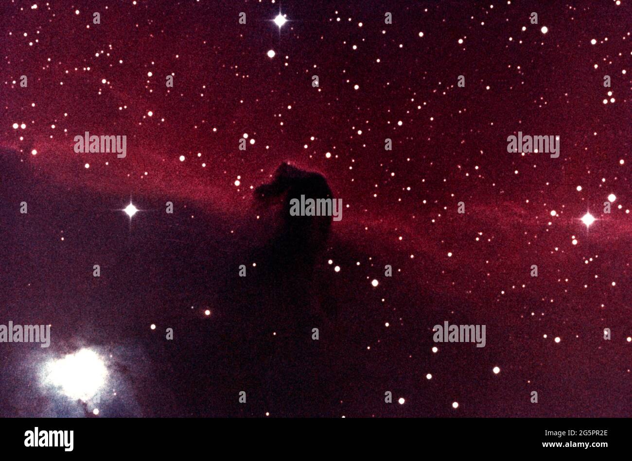 Der Pferdekopfnebel in der Orion-Konstellation Stockfoto