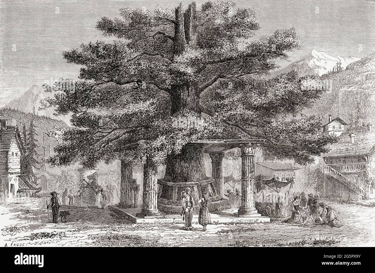 Die Linde oder Lindenbaum bei der Schlacht von Morat aka Schlacht von Murten, als die Schlacht von Murten endete, trug ein Läufer einen Lindenzweig, um den Schweizer Sieg über Karl den Kühnen anzukündigen. Aus dem Universum oder, das unendlich große und das unendlich kleine, veröffentlicht 1882. Stockfoto