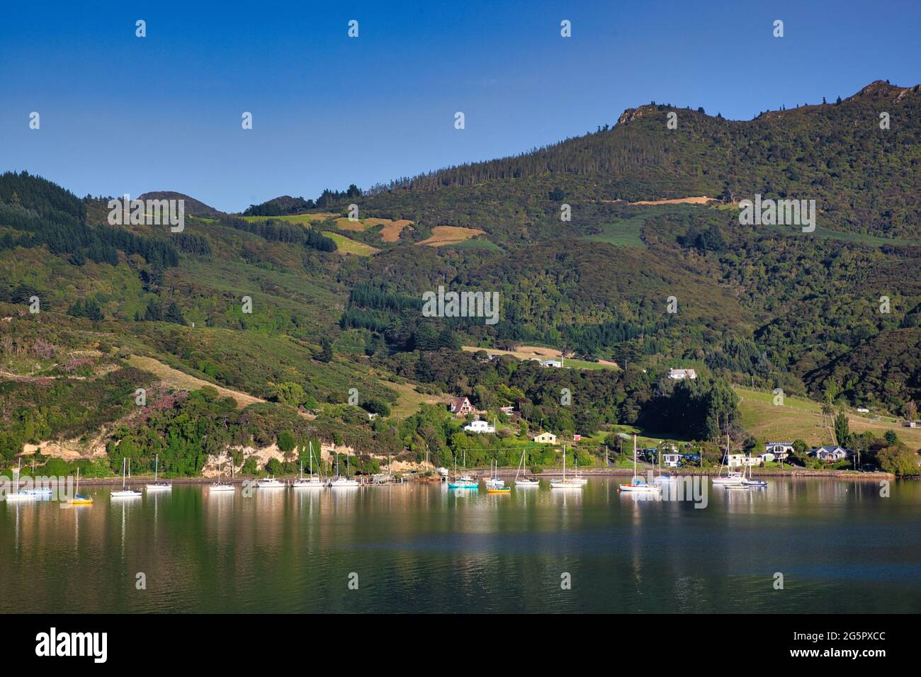 Hübsche Küste mit baumbestandenen Hügeln mit Häusern und Booten direkt vor der Küste, die sich im Meer in der Nähe von Otago Port, South Island, Neuseeland, widerspiegeln Stockfoto