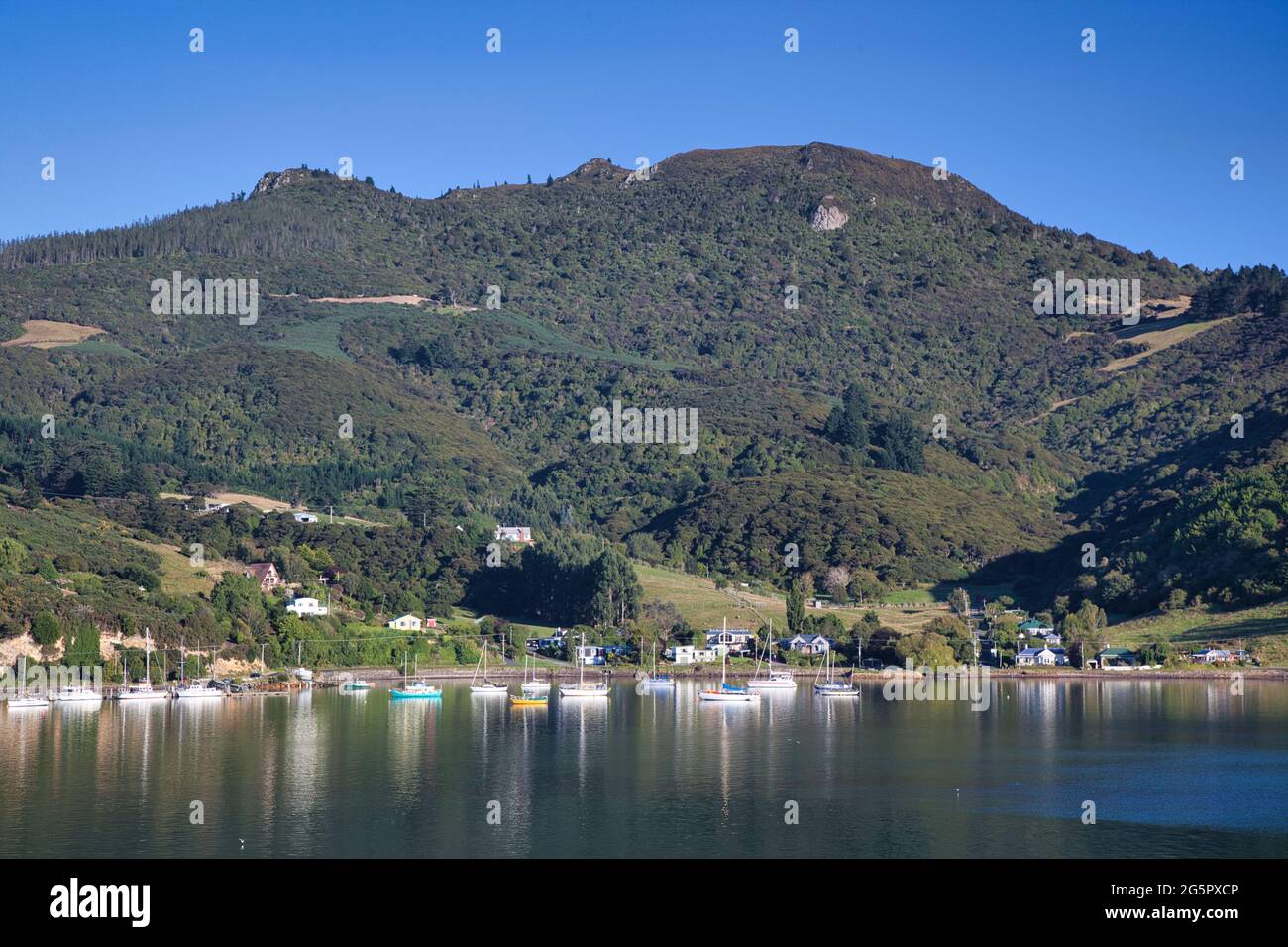 Hübsche Küste mit baumbestandenen Hügeln mit Häusern und Booten direkt vor der Küste, die sich im Meer in der Nähe von Otago Port, South Island, Neuseeland, widerspiegeln Stockfoto